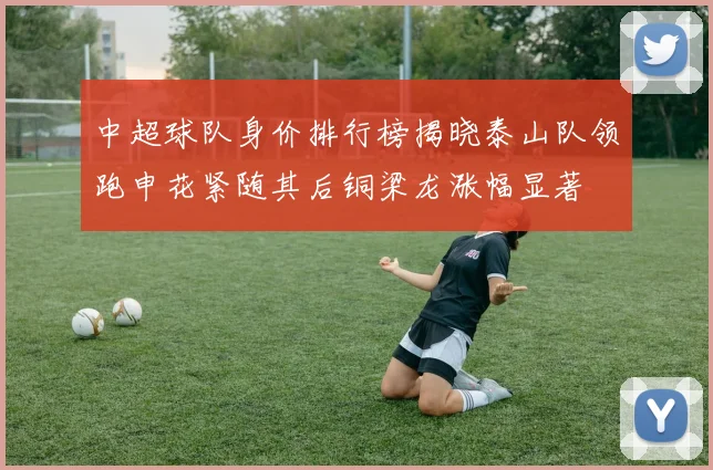 中超球队身价排行榜揭晓泰山队领跑申花紧随其后铜梁龙涨幅显著