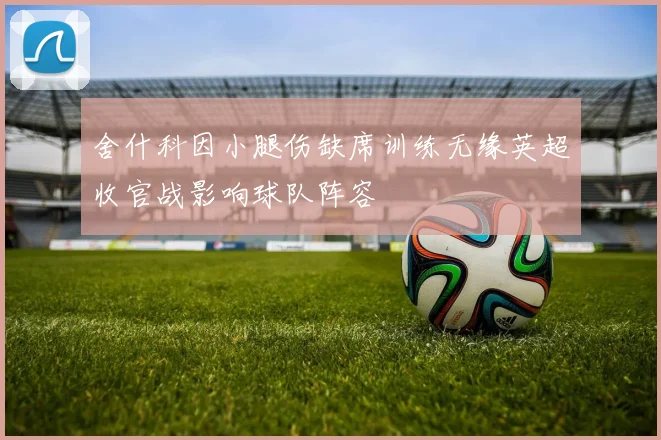 舍什科因小腿伤缺席训练无缘英超收官战影响球队阵容